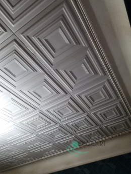 Styrofoam Ceiling Tiles 0831
